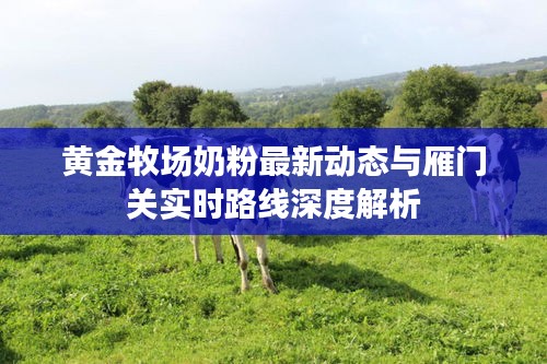 黄金牧场奶粉最新动态与雁门关实时路线深度解析