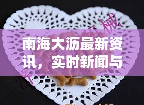 南海大沥最新资讯,实时新闻与狗粮价格动态更新