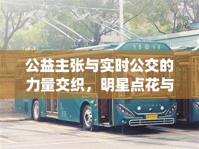公益主张与实时公交的力量交织,明星点花与公交212路线的独特魅力