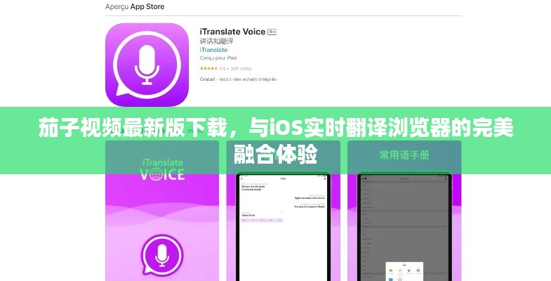 茄子视频最新版下载,与iOS实时翻译浏览器的完美融合体验