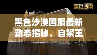 黑色沙漠国服最新动态揭秘，自紧王价格大解析