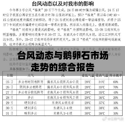 台风动态与鹅卵石市场走势的综合报告
