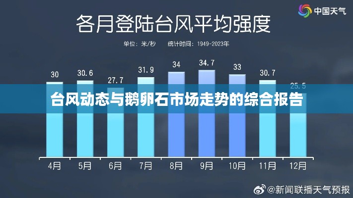 台风动态与鹅卵石市场走势的综合报告