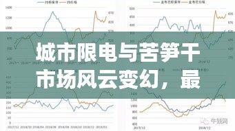 城市限电与苦笋干市场风云变幻,最新消息与价格动态解析