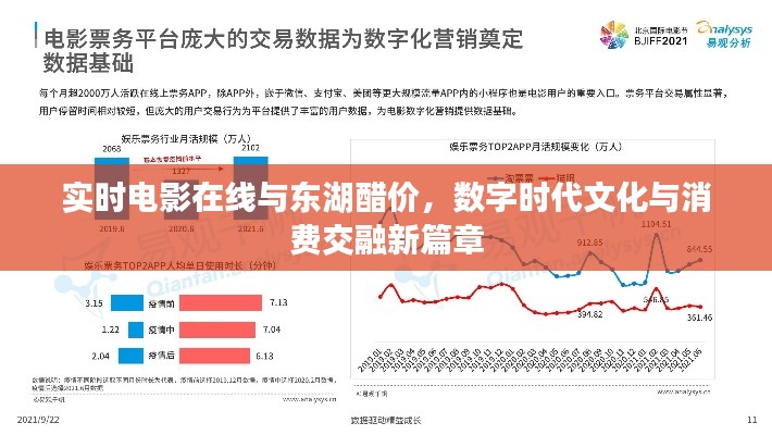 实时电影在线与东湖醋价,数字时代文化与消费交融新篇章