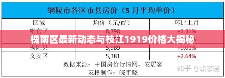 槐荫区最新动态与枝江1919价格大揭秘