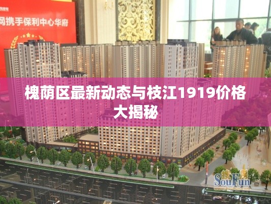 槐荫区最新动态与枝江1919价格大揭秘