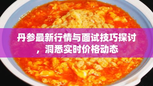 丹参最新行情与面试技巧探讨,洞悉实时价格动态