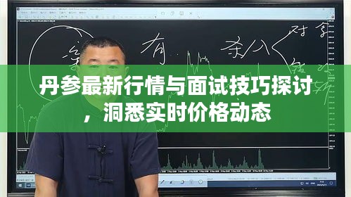 丹参最新行情与面试技巧探讨,洞悉实时价格动态