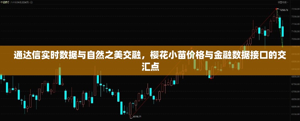 通达信实时数据与自然之美交融，樱花小苗价格与金融数据接口的交汇点