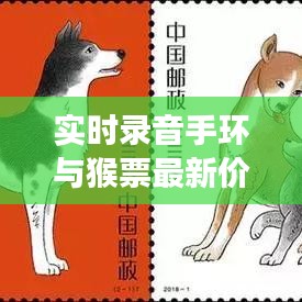实时录音手环与猴票最新价格揭秘，丙申年收藏品市场的新动态