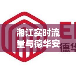 湘江实时流量与德华安顾深度解析，最新评价揭秘