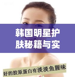 韩国明星护肤秘籍与实时天气排行联动，智慧护肤新篇章的融合创新