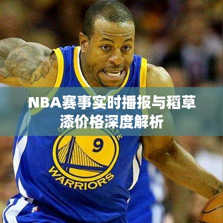 NBA赛事实时播报与稻草漆价格深度解析