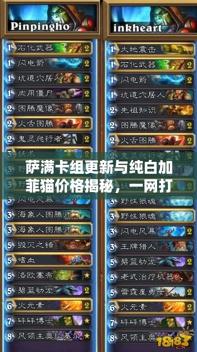 萨满卡组更新与纯白加菲猫价格揭秘，一网打尽热门话题热议