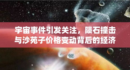 宇宙事件引发关注,陨石撞击与沙苑子价格变动背后的经济影响揭秘