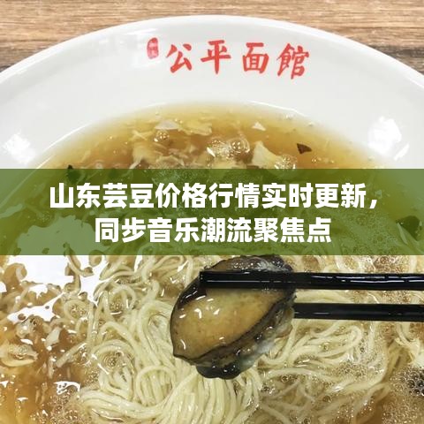山东芸豆价格行情实时更新,同步音乐潮流聚焦点