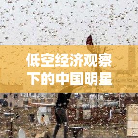 低空经济观察下的中国明星在印度,实时选择与深度洞察