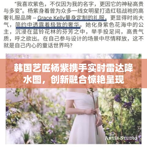 韩国艺匠杨紫携手实时雷达降水图,创新融合惊艳呈现