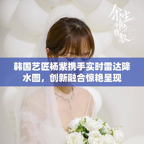 韩国艺匠杨紫携手实时雷达降水图,创新融合惊艳呈现