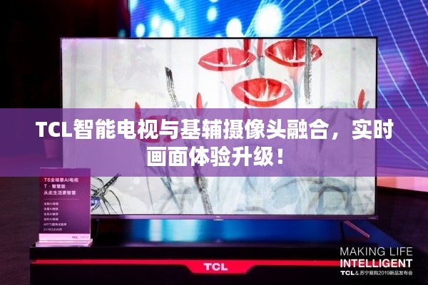 TCL智能电视与基辅摄像头融合,实时画面体验升级!
