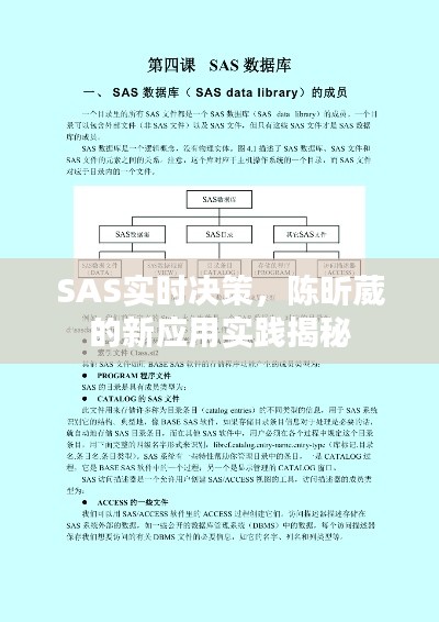 SAS实时决策,陈昕葳的新应用实践揭秘