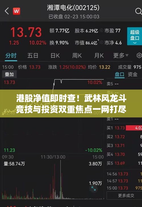 港股净值即时查！武林风龙斗竞技与投资双重焦点一网打尽