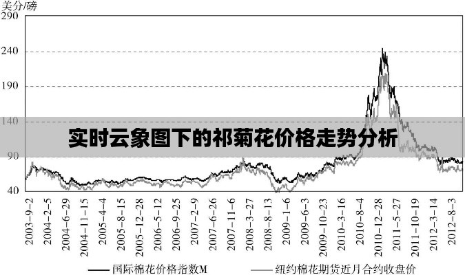 实时云象图下的祁菊花价格走势分析