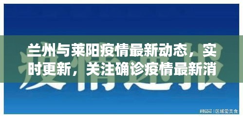 兰州与莱阳疫情最新动态,实时更新,关注确诊疫情最新消息