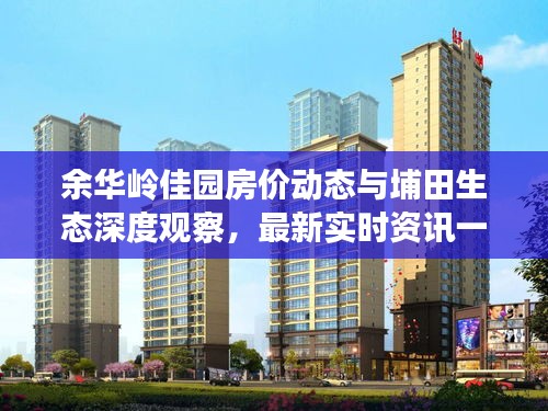 余华岭佳园房价动态与埔田生态深度观察,最新实时资讯一网打尽