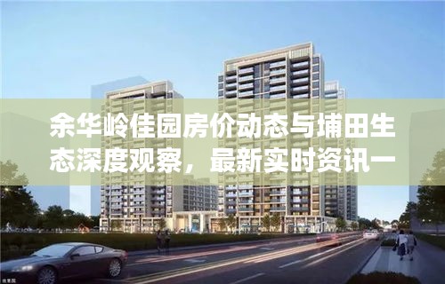 余华岭佳园房价动态与埔田生态深度观察,最新实时资讯一网打尽
