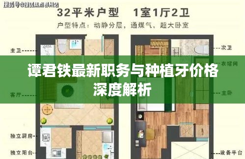 谭君铁最新职务与种植牙价格深度解析