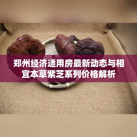 郑州经济适用房最新动态与相宜本草紫芝系列价格解析