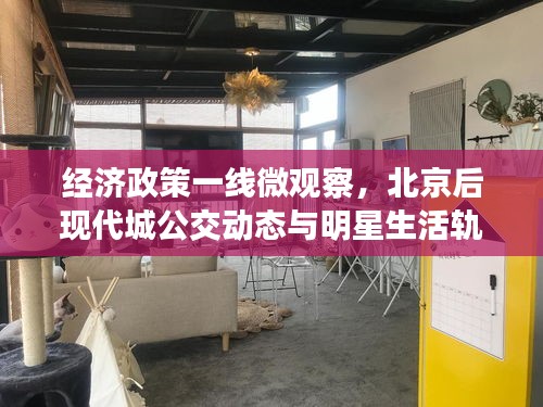 经济政策一线微观察，北京后现代城公交动态与明星生活轨迹揭秘