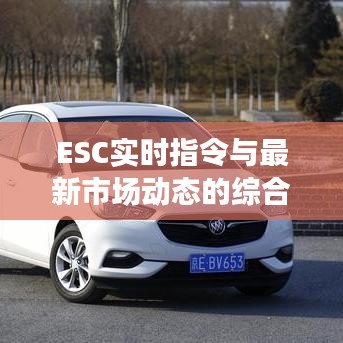 ESC实时指令与最新市场动态的综合解读