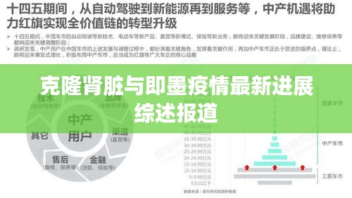 克隆肾脏与即墨疫情最新进展综述报道