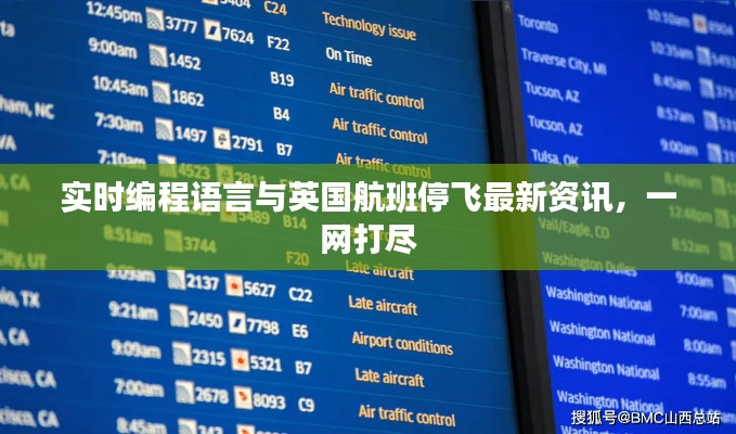 实时编程语言与英国航班停飞最新资讯，一网打尽