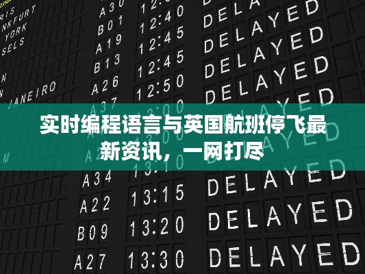 实时编程语言与英国航班停飞最新资讯,一网打尽