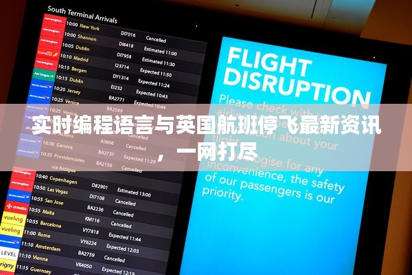 实时编程语言与英国航班停飞最新资讯,一网打尽