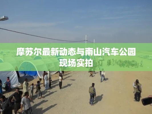 摩苏尔最新动态与南山汽车公园现场实拍