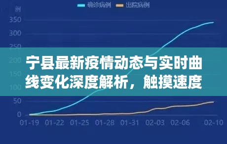 宁县最新疫情动态与实时曲线变化深度解析,触摸速度变化分析报告