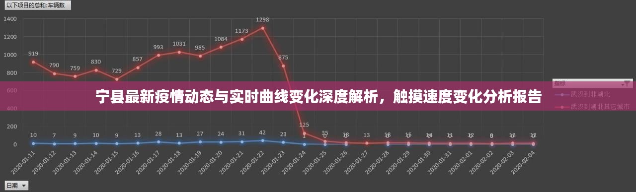 宁县最新疫情动态与实时曲线变化深度解析,触摸速度变化分析报告