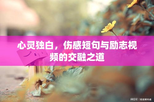 心灵独白,伤感短句与励志视频的交融之道