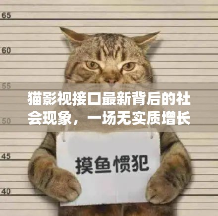 猫影视接口最新背后的社会现象,一场无实质增长的消耗战