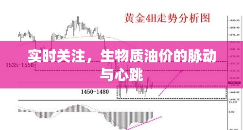 实时关注，生物质油价的脉动与心跳