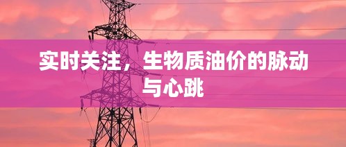 实时关注,生物质油价的脉动与心跳