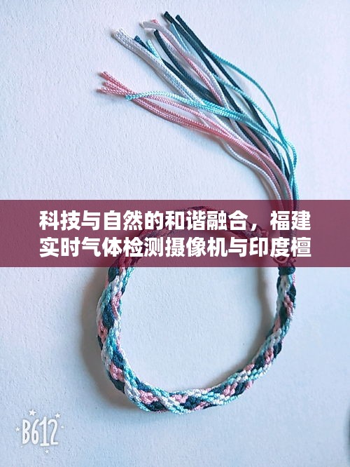 科技与自然的和谐融合，福建实时气体检测摄像机与印度檀香木手链的融合之美