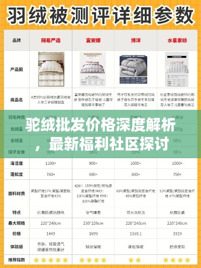 驼绒批发价格深度解析，最新福利社区探讨
