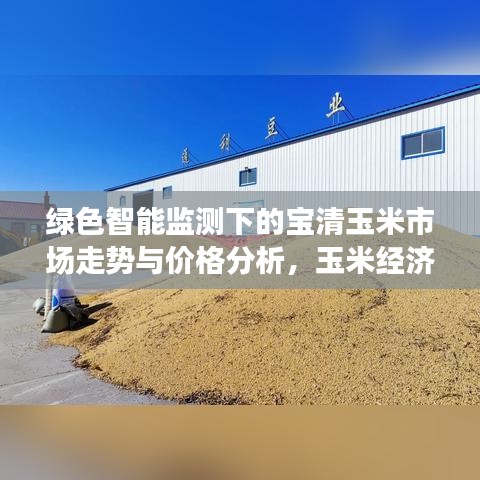 绿色智能监测下的宝清玉米市场走势与价格分析，玉米经济深度探讨