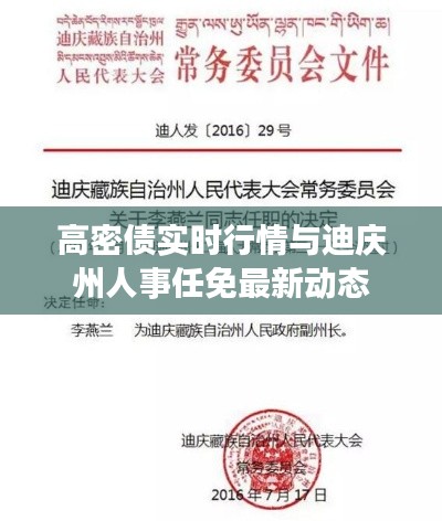 高密债实时行情与迪庆州人事任免最新动态